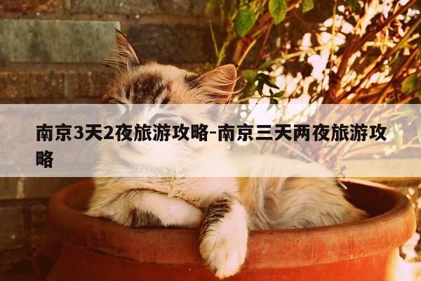 南京3天2夜旅游攻略-南京三天两夜旅游攻略-第1张图片-优惠活动网