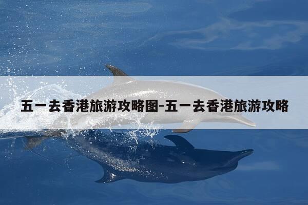 五一去香港旅游攻略图-五一去香港旅游攻略-第1张图片-优惠活动网