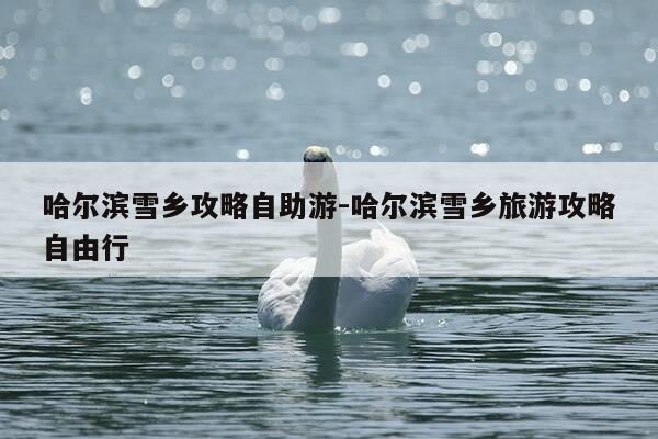 哈尔滨雪乡攻略自助游-哈尔滨雪乡旅游攻略自由行-第1张图片-优惠活动网