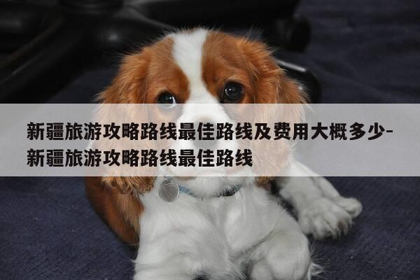 新疆旅游攻略路线最佳路线及费用大概多少-新疆旅游攻略路线最佳路线-第1张图片-优惠活动网 新疆旅游攻略路线最佳路线及费用大概多少-新疆旅游攻略路线最佳路线-第1张图片-优惠活动网