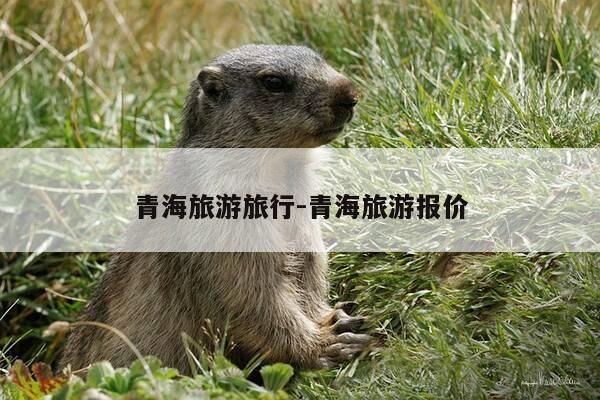 青海旅游旅行-青海旅游报价-第1张图片-优惠活动网