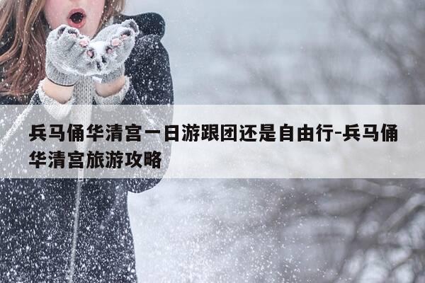兵马俑华清宫一日游跟团还是自由行-兵马俑华清宫旅游攻略-第1张图片-优惠活动网 兵马俑华清宫一日游跟团还是自由行-兵马俑华清宫旅游攻略-第1张图片-优惠活动网