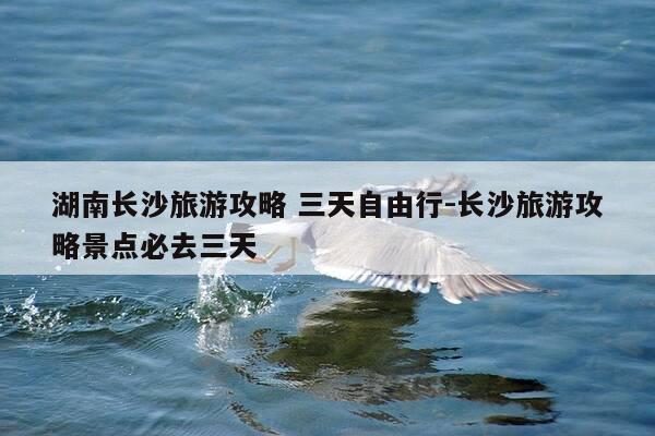 湖南长沙旅游攻略 三天自由行-长沙旅游攻略景点必去三天-第1张图片-优惠活动网 湖南长沙旅游攻略 三天自由行-长沙旅游攻略景点必去三天-第1张图片-优惠活动网