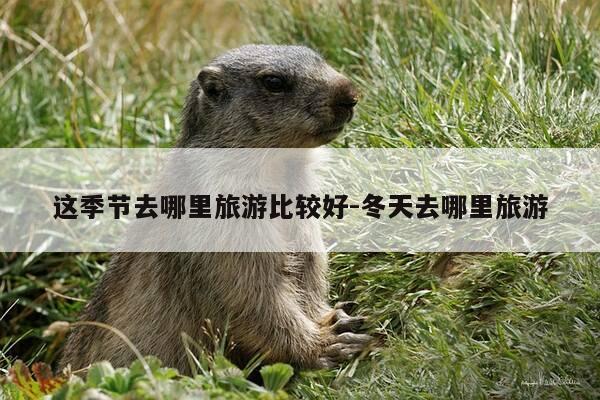 这季节去哪里旅游比较好-冬天去哪里旅游-第1张图片-优惠活动网 这季节去哪里旅游比较好-冬天去哪里旅游-第1张图片-优惠活动网