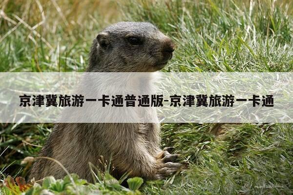 京津冀旅游一卡通普通版-京津冀旅游一卡通-第1张图片-优惠活动网