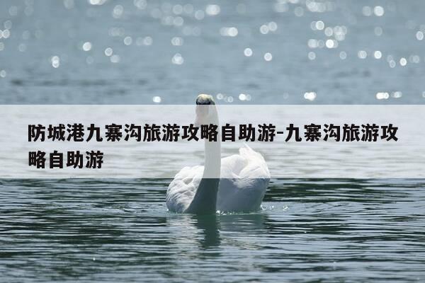 防城港九寨沟旅游攻略自助游-九寨沟旅游攻略自助游-第1张图片-优惠活动网 防城港九寨沟旅游攻略自助游-九寨沟旅游攻略自助游-第1张图片-优惠活动网