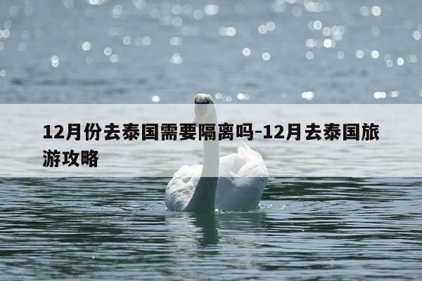 12月份去泰国需要隔离吗-12月去泰国旅游攻略-第1张图片-优惠活动网 12月份去泰国需要隔离吗-12月去泰国旅游攻略-第1张图片-优惠活动网