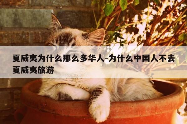 夏威夷为什么那么多华人-为什么中国人不去夏威夷旅游-第1张图片-优惠活动网