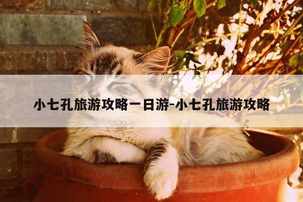 小七孔旅游攻略一日游-小七孔旅游攻略-第1张图片-优惠活动网