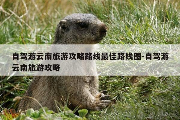 自驾游云南旅游攻略路线最佳路线图-自驾游云南旅游攻略-第1张图片-优惠活动网