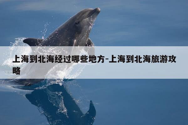 上海到北海经过哪些地方-上海到北海旅游攻略-第1张图片-优惠活动网