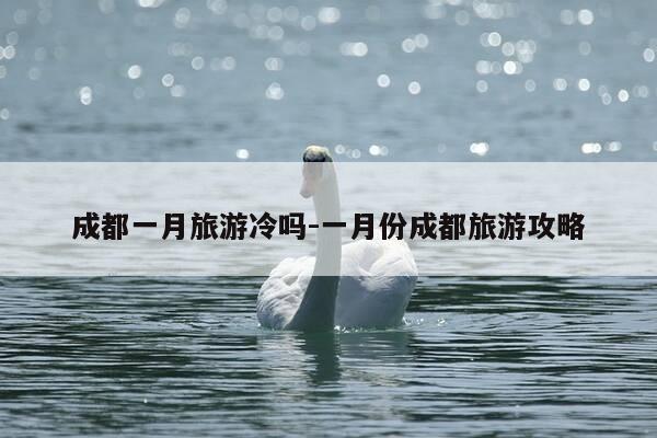 成都一月旅游冷吗-一月份成都旅游攻略-第1张图片-优惠活动网