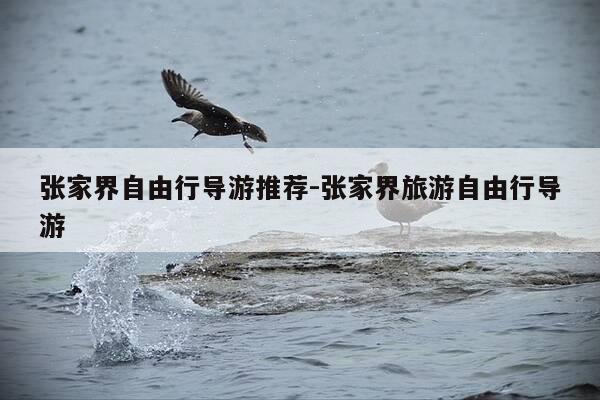 张家界自由行导游推荐-张家界旅游自由行导游-第1张图片-优惠活动网