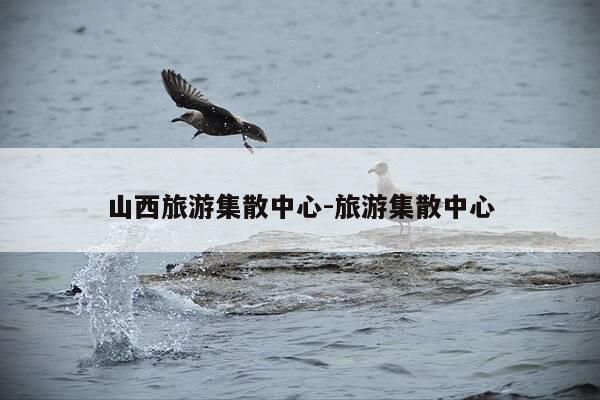 山西旅游集散中心-旅游集散中心-第1张图片-优惠活动网