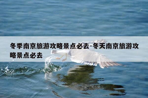 冬季南京旅游攻略景点必去-冬天南京旅游攻略景点必去-第1张图片-优惠活动网