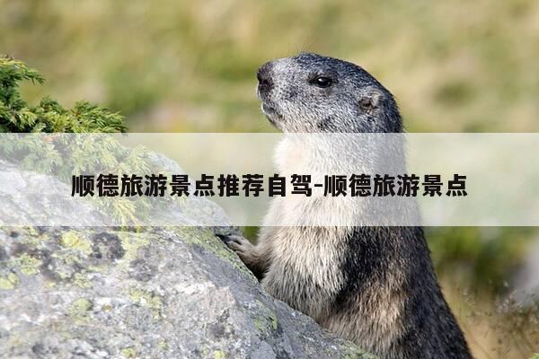 顺德旅游景点推荐自驾-顺德旅游景点-第1张图片-优惠活动网