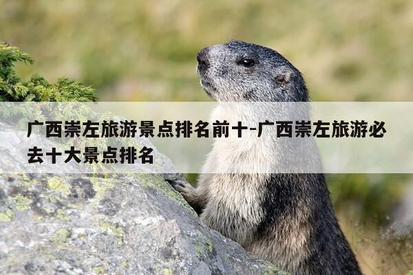 广西崇左旅游景点排名前十-广西崇左旅游必去十大景点排名-第1张图片-优惠活动网