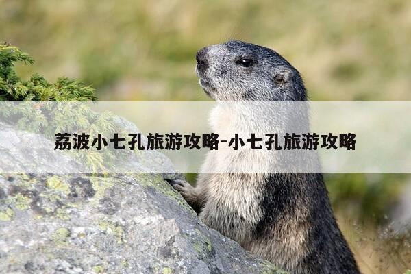 荔波小七孔旅游攻略-小七孔旅游攻略-第1张图片-优惠活动网