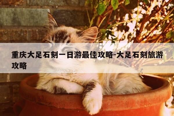 重庆大足石刻一日游最佳攻略-大足石刻旅游攻略-第1张图片-优惠活动网
