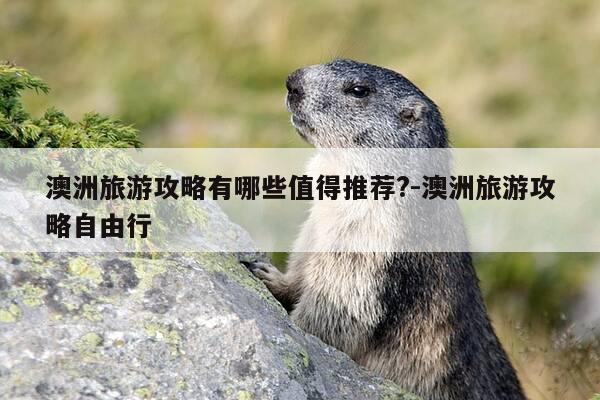 澳洲旅游攻略有哪些值得推荐?-澳洲旅游攻略自由行-第1张图片-优惠活动网