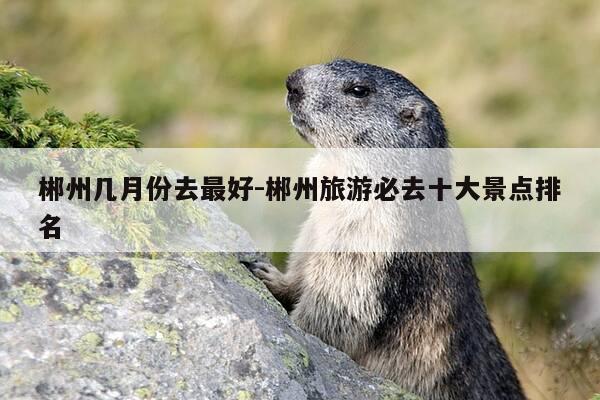 郴州几月份去最好-郴州旅游必去十大景点排名-第1张图片-优惠活动网 郴州几月份去最好-郴州旅游必去十大景点排名-第1张图片-优惠活动网