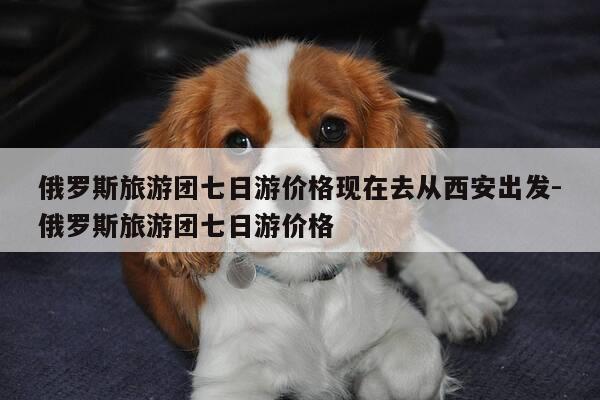 俄罗斯旅游团七日游价格现在去从西安出发-俄罗斯旅游团七日游价格-第1张图片-优惠活动网 俄罗斯旅游团七日游价格现在去从西安出发-俄罗斯旅游团七日游价格-第1张图片-优惠活动网
