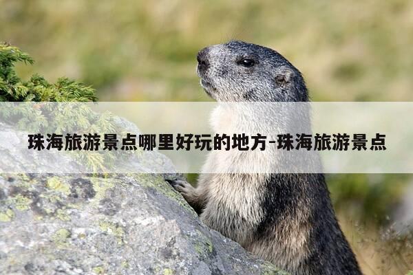 珠海旅游景点哪里好玩的地方-珠海旅游景点-第1张图片-优惠活动网