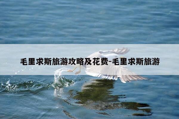 毛里求斯旅游攻略及花费-毛里求斯旅游-第1张图片-优惠活动网