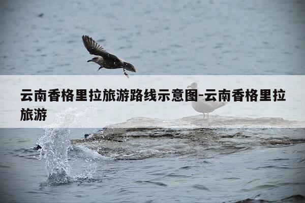 云南香格里拉旅游路线示意图-云南香格里拉旅游-第1张图片-优惠活动网
