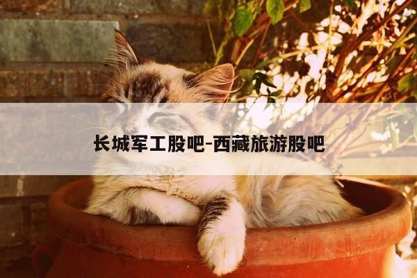 长城军工股吧-西藏旅游股吧-第1张图片-优惠活动网 长城军工股吧-西藏旅游股吧-第1张图片-优惠活动网