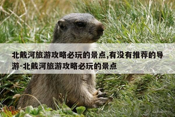 北戴河旅游攻略必玩的景点,有没有推荐的导游-北戴河旅游攻略必玩的景点-第1张图片-优惠活动网 北戴河旅游攻略必玩的景点,有没有推荐的导游-北戴河旅游攻略必玩的景点-第1张图片-优惠活动网