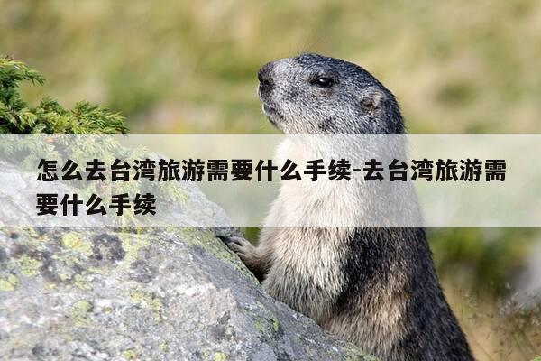 怎么去台湾旅游需要什么手续-去台湾旅游需要什么手续-第1张图片-优惠活动网