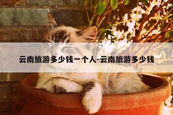 云南旅游多少钱一个人-云南旅游多少钱-第1张图片-优惠活动网 云南旅游多少钱一个人-云南旅游多少钱-第1张图片-优惠活动网