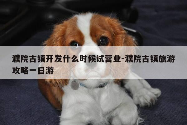 濮院古镇开发什么时候试营业-濮院古镇旅游攻略一日游-第1张图片-优惠活动网 濮院古镇开发什么时候试营业-濮院古镇旅游攻略一日游-第1张图片-优惠活动网