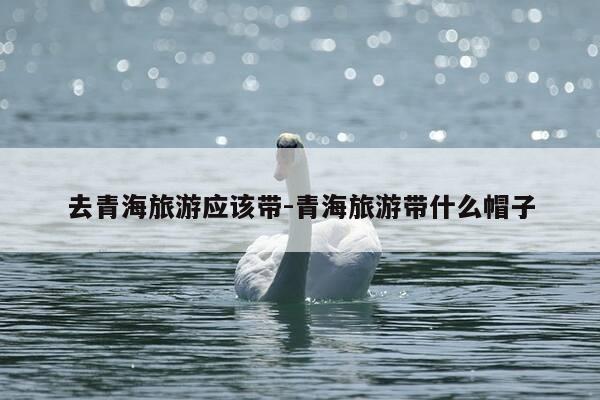 去青海旅游应该带-青海旅游带什么帽子-第1张图片-优惠活动网 去青海旅游应该带-青海旅游带什么帽子-第1张图片-优惠活动网