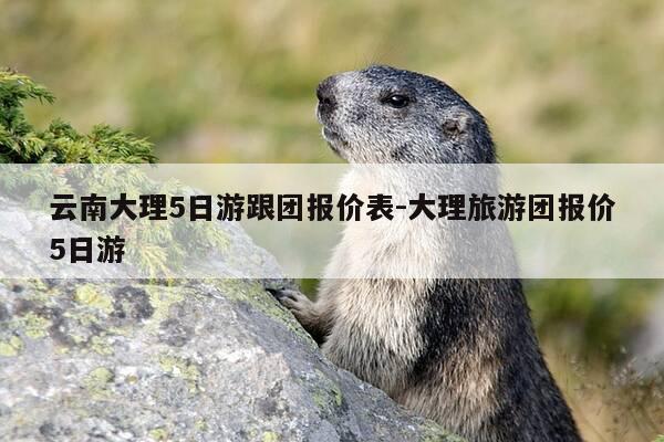 云南大理5日游跟团报价表-大理旅游团报价5日游-第1张图片-优惠活动网 云南大理5日游跟团报价表-大理旅游团报价5日游-第1张图片-优惠活动网