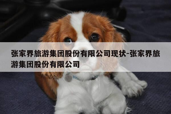 张家界旅游集团股份有限公司现状-张家界旅游集团股份有限公司-第1张图片-优惠活动网
