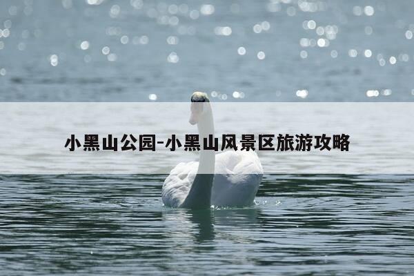 小黑山公园-小黑山风景区旅游攻略-第1张图片-优惠活动网 小黑山公园-小黑山风景区旅游攻略-第1张图片-优惠活动网