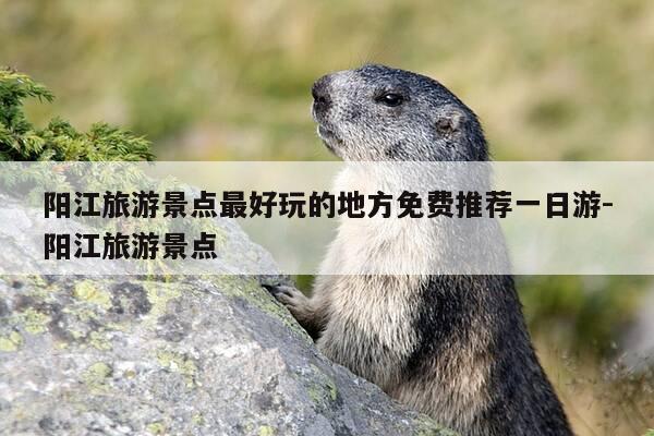 阳江旅游景点最好玩的地方免费推荐一日游-阳江旅游景点-第1张图片-优惠活动网 阳江旅游景点最好玩的地方免费推荐一日游-阳江旅游景点-第1张图片-优惠活动网