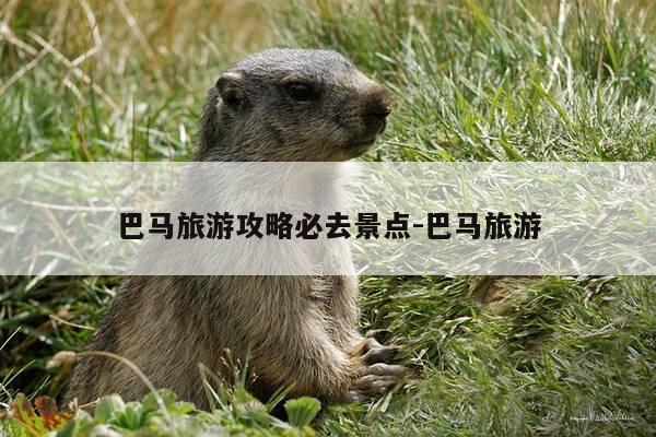巴马旅游攻略必去景点-巴马旅游-第1张图片-优惠活动网