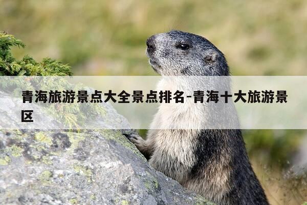 青海旅游景点大全景点排名-青海十大旅游景区-第1张图片-优惠活动网 青海旅游景点大全景点排名-青海十大旅游景区-第1张图片-优惠活动网
