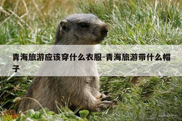 青海旅游应该穿什么衣服-青海旅游带什么帽子-第1张图片-优惠活动网 青海旅游应该穿什么衣服-青海旅游带什么帽子-第1张图片-优惠活动网