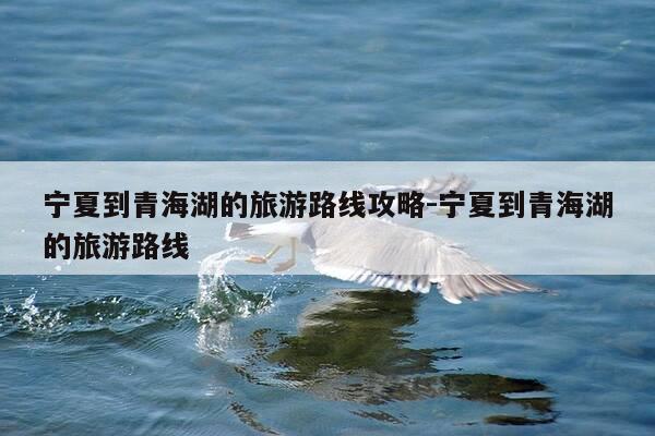 宁夏到青海湖的旅游路线攻略-宁夏到青海湖的旅游路线-第1张图片-优惠活动网 宁夏到青海湖的旅游路线攻略-宁夏到青海湖的旅游路线-第1张图片-优惠活动网