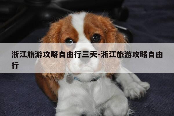 浙江旅游攻略自由行三天-浙江旅游攻略自由行-第1张图片-优惠活动网 浙江旅游攻略自由行三天-浙江旅游攻略自由行-第1张图片-优惠活动网