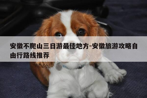 安徽不爬山三日游最佳地方-安徽旅游攻略自由行路线推荐-第1张图片-优惠活动网 安徽不爬山三日游最佳地方-安徽旅游攻略自由行路线推荐-第1张图片-优惠活动网