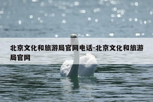 北京文化和旅游局官网电话-北京文化和旅游局官网-第1张图片-优惠活动网 北京文化和旅游局官网电话-北京文化和旅游局官网-第1张图片-优惠活动网