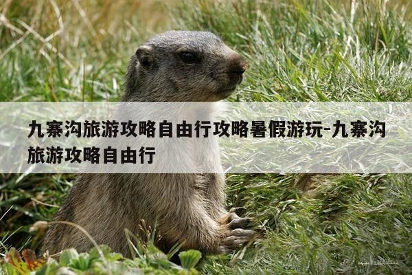 九寨沟旅游攻略自由行攻略暑假游玩-九寨沟旅游攻略自由行-第1张图片-优惠活动网