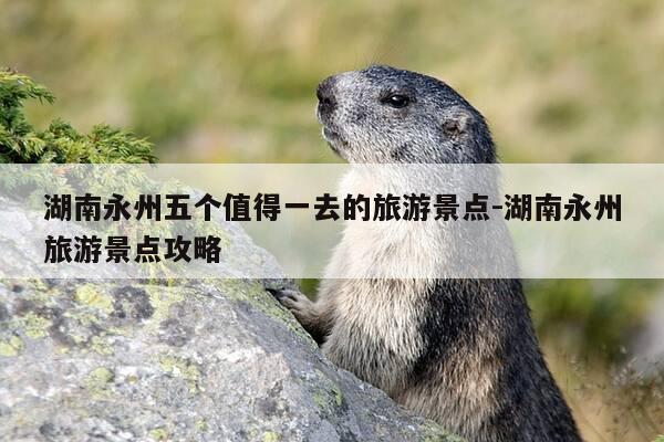 湖南永州五个值得一去的旅游景点-湖南永州旅游景点攻略-第1张图片-优惠活动网 湖南永州五个值得一去的旅游景点-湖南永州旅游景点攻略-第1张图片-优惠活动网