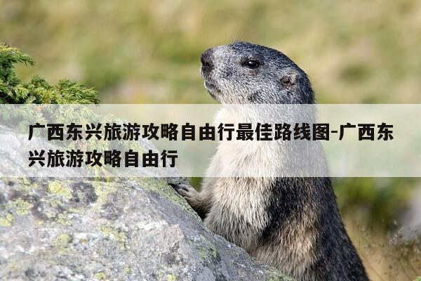 广西东兴旅游攻略自由行最佳路线图-广西东兴旅游攻略自由行-第1张图片-优惠活动网 广西东兴旅游攻略自由行最佳路线图-广西东兴旅游攻略自由行-第1张图片-优惠活动网