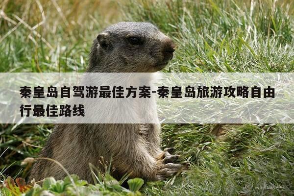 秦皇岛自驾游最佳方案-秦皇岛旅游攻略自由行最佳路线-第1张图片-优惠活动网 秦皇岛自驾游最佳方案-秦皇岛旅游攻略自由行最佳路线-第1张图片-优惠活动网